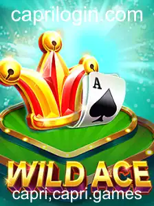 Descubra WildAce: O Novo Fenômeno do Mundo dos Jogos